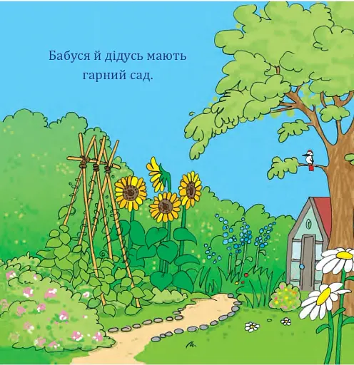 Бобо з бабусею і дідусем - фото 4