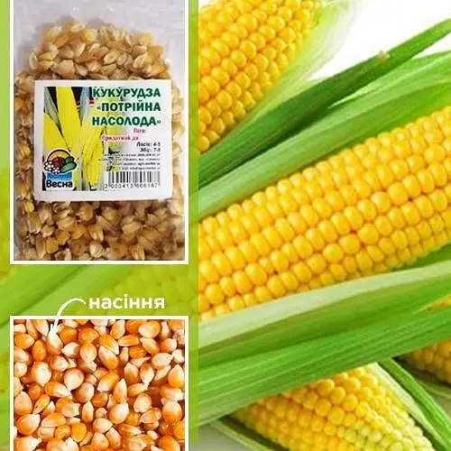 Кукуруза Весна Тройная сладость 100г (48613) - фото 2