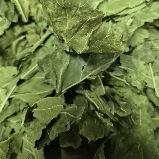 100 г шовковиця біла лист сущений - свіжий урожай