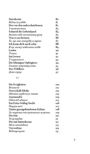 Світлопримус - фото 4