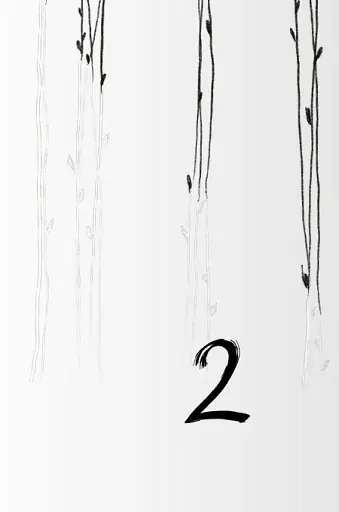 Уламки - фото 3