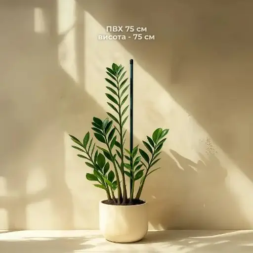 Поддержка для растений Elsa ПВХ 75 см (pmpvh-75) - фото 2