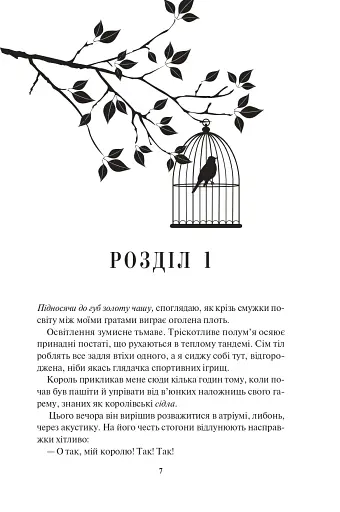 Блиск. Книга 1 - фото 4