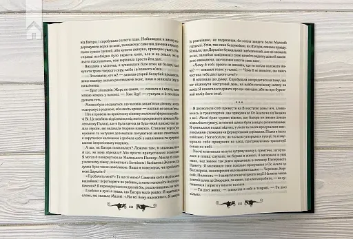 Тінь та кістка - фото 4