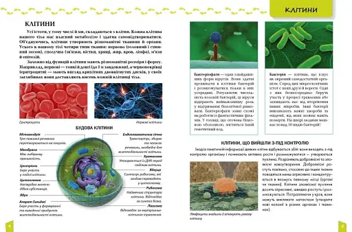 Про тіло людини Енциклопедія для допитливих - фото 3