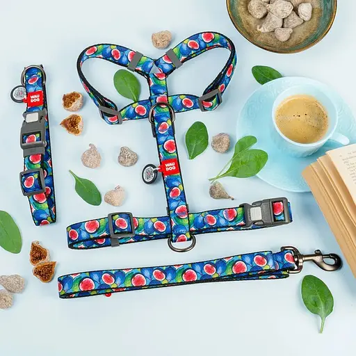 Повідець для собак Waudog Nylon нейлоновий, малюнок "Інжир", L-XXL - фото 3