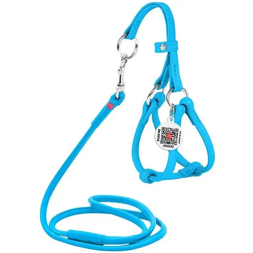 Шлея з повідцем для собак Waudog Glamour шкіряна з QR паспортом, кругла, блакитний