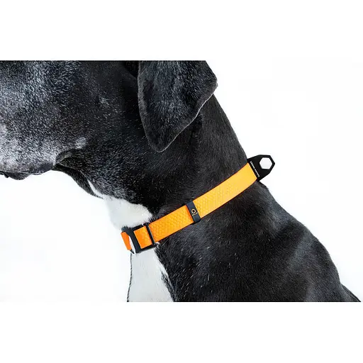 Нашийник EVOLUTOR регульований універсальний розмір (ширина 25мм довжина 25-70 см) помаранчевий - фото 5
