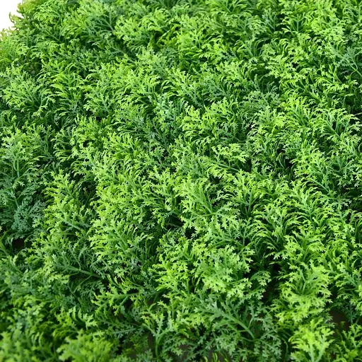 Декоративне зелене покриття Engard Мох 50 х 50 см (GCK-14) - фото 5