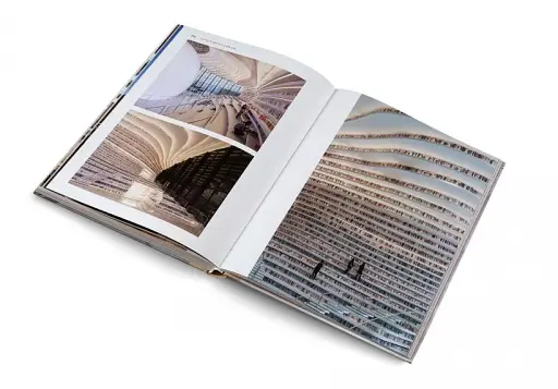 Temples of Books - фото 19