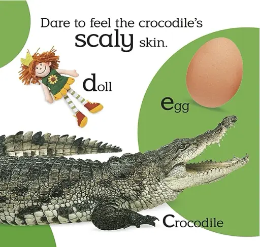 Touch and Feel. ABC - фото 3