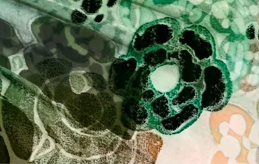 The Flowers of Yves Saint Laurent - фото 3