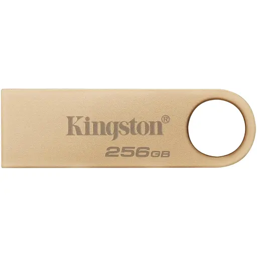 Kingston Накопичувач 256GB USB 3.2 Type-A Gen1 DT SE9 G3