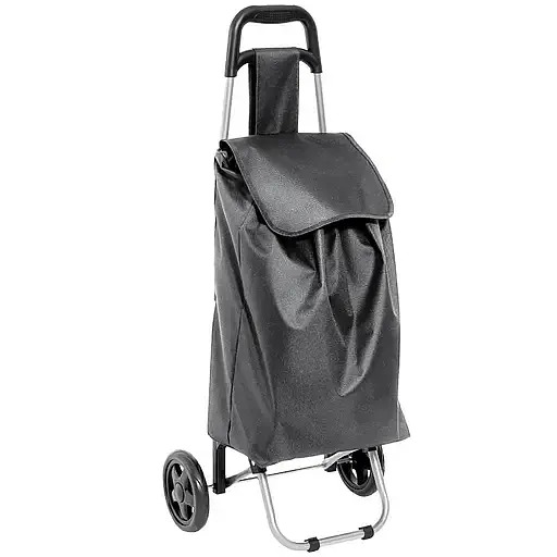 Сумка-тележка Casa Si Amigo Grey (CS93098K10B) - фото 1
