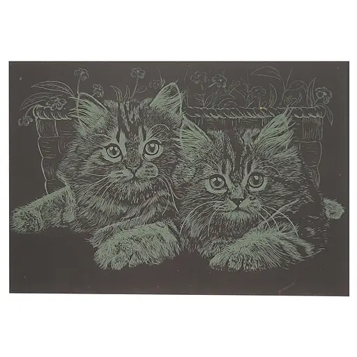 Гравюра А5 "Котики" ГрА5з-3 эконом вариант в пакете 21 х 14,8 см