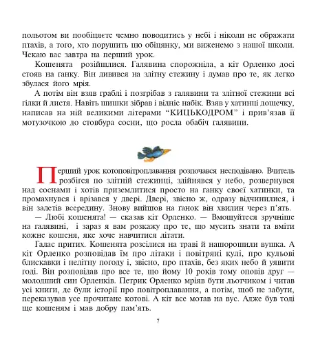 Школа котоповітроплавання - фото 7