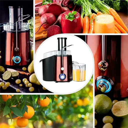 Соковитискач Adler AD 4129 [132663] - фото 8