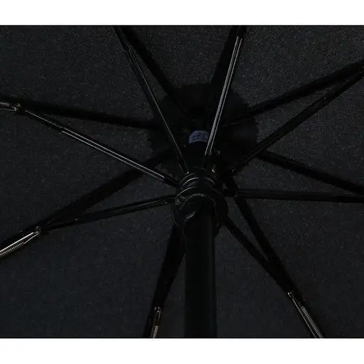 Зонтик Pinlo Automatic черный (PLZDS04XM) - фото 4