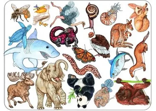 Настольная игра Djeco Занималка (Zanimatch) (DJ05153) - фото 2