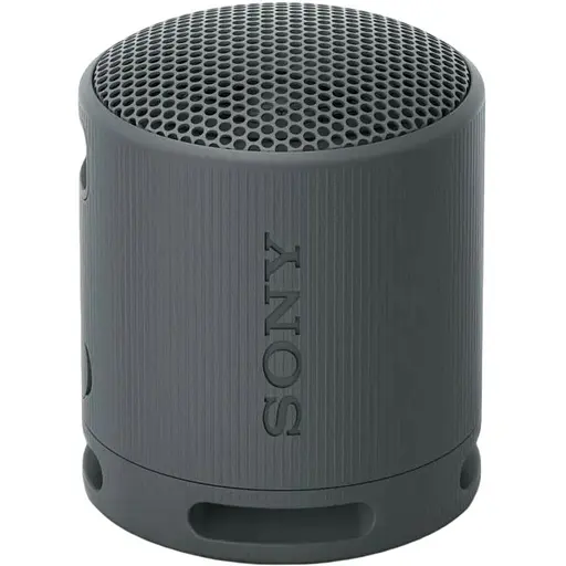 Портативная колонка Sony SRS-XB100 Black (SRSXB100B) - фото 1