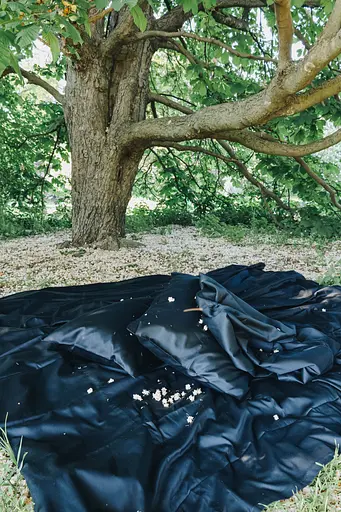 Комплект постельного белья сатин 100% хлопок Black Silk черный - двухспальный - фото 1