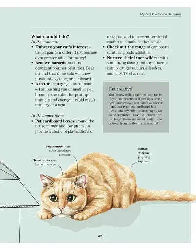 What's My Cat Thinking? Understand Your Cat to Give Them a Happy Life - фото 4