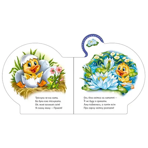 Картонна книжечка "Все про всіх: Все про каченя" 289024 українською мовою - фото 4