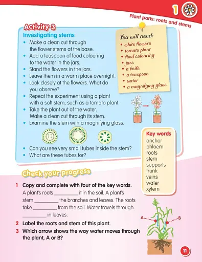 Macmillan Science. Level 3. Student's Book & eBook - фото 5