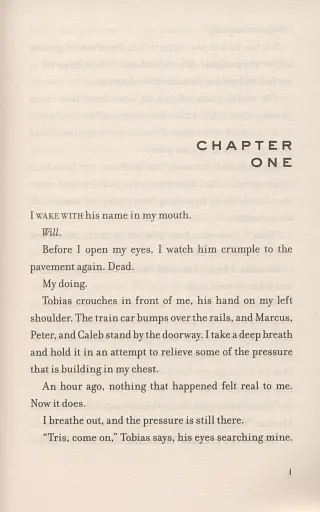 Insurgent - фото 2