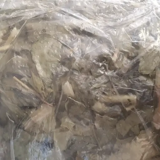 100 г володушка золотиста трава сушена - свіжий урожай