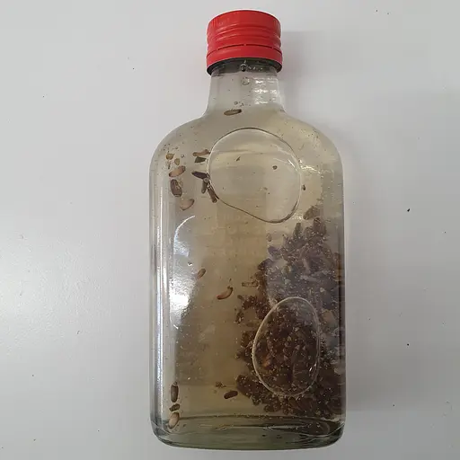 Водная настойка на плодах расторопши пятнистой 200 мл - фото 2