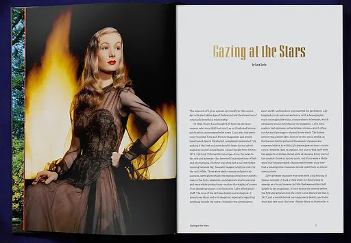 LIFE. Hollywood - фото 2