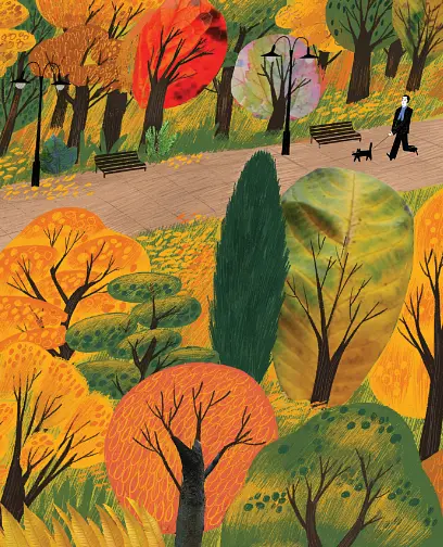 Книга Про що мріють листочки. Автор - Оксана Драчковська, Христина Лукащук (Yakaboo) - фото 8