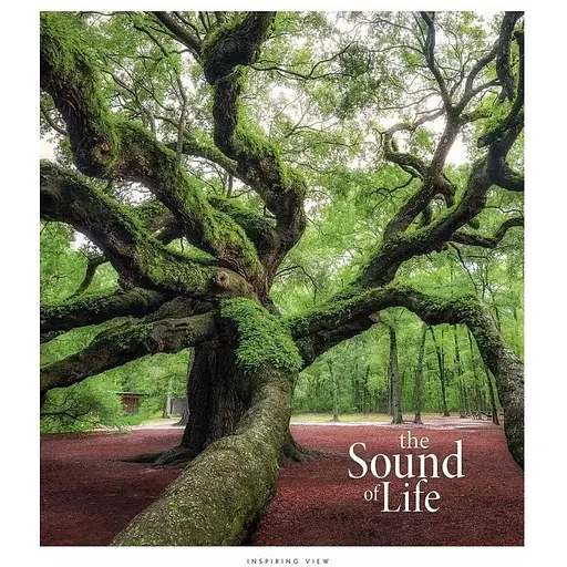 Зошит учнівський "The Sound of life" Star 048-3347K 48 аркушів (482000647644103347)(SC) - фото 1