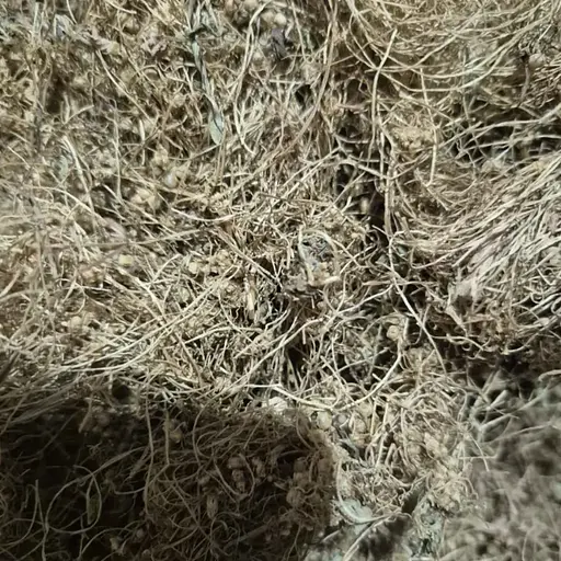 100 г повилика трава сушеная измельченная- свежий урожай