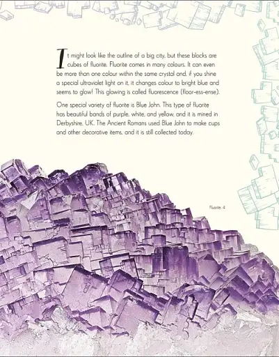 The Wonders of Nature - фото 5