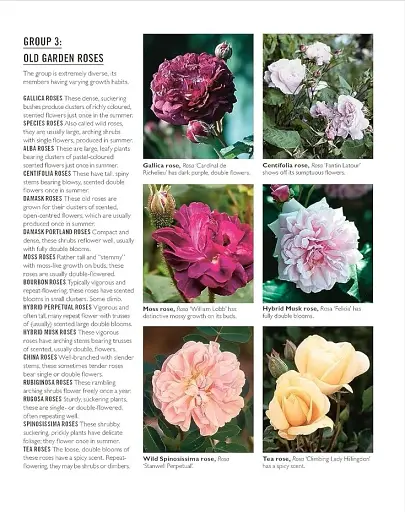 Grow Roses. Essential Know-how and Expert Advice for Gardening Success - фото 6