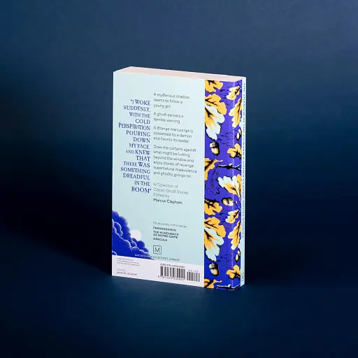 The Shadow in The Corner & Other Classic Ghost Stories - фото 3