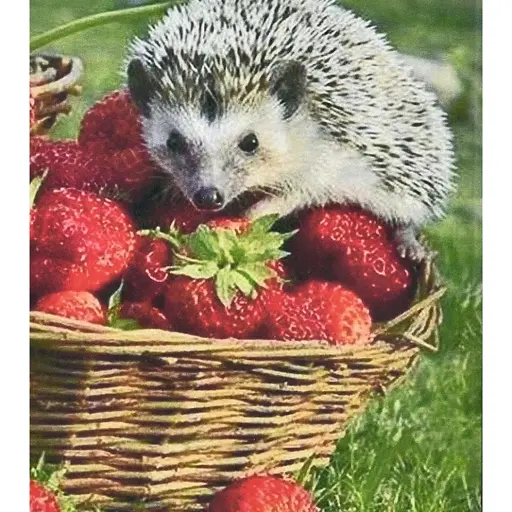 Алмазна мозаїка Їжачок та полуниця Strateg HEG86093 30х40 см - фото 1