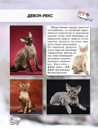 Світ навколо нас. Кішки - фото 3