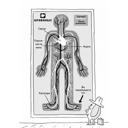Энциклопедия дошкольника "Анатомия для детей" 154101 - фото 4