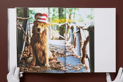 Bruce Weber. The Golden Retriever Photographic Society - фото 3