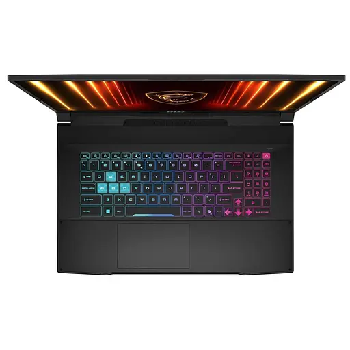 Ноутбук MSI 17.3 Katana 17 HX B14WGK-243XUA QHD+/Intel i9-14900HX/32GB/1TB/RTX 5070 8GB/DOS/Black (9S7-17L791-243) - фото 4