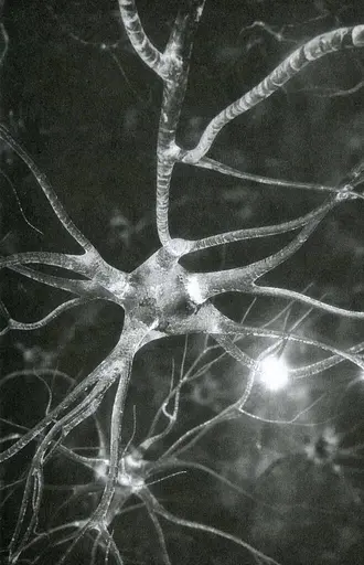 Філіп К. Дік. Повне зібрання короткої прози. Том 1 - фото 6