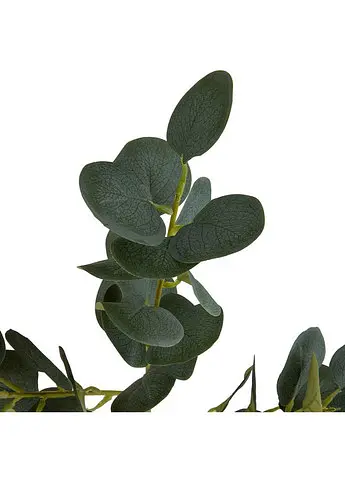 Гілка Евкаліпту, 66 см Elisey 8949-001 - фото 2