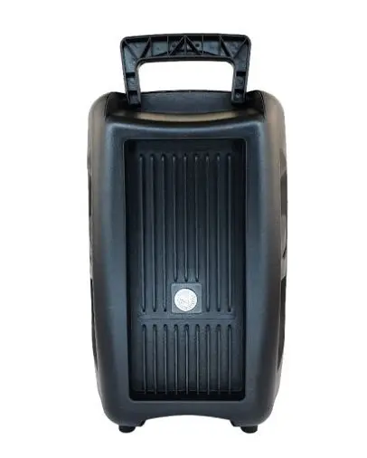 Колонка Big PK-16 bluetooth + микрофон (198х158х320) USB/MO3/FM/TWS black - фото 2