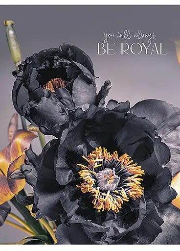 Комплект 4 шт загальних зошитів. Зошит Школярик А5 80 арк. у лінію 5074 4823088219333 - фото 5