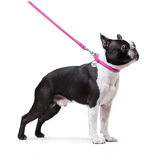 Повідець для собак Waudog Glamour шкіряний круглий, рожевий - фото 3