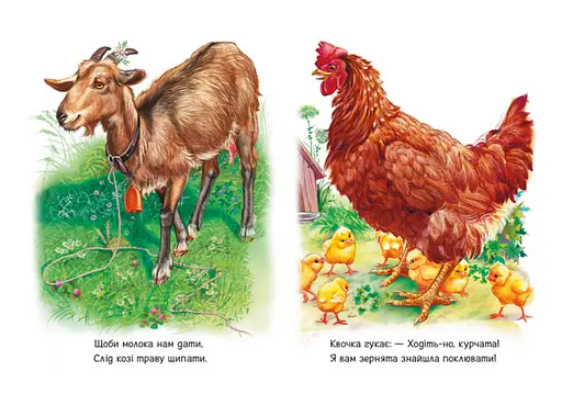 Книга Поруч з нами. Малятам про звіряток. Автор - Григорій Меламед (Ранок) - фото 3