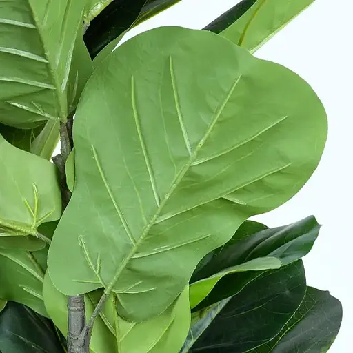 Искусственное растение Engard Fiddle 150 см (TW-02) - фото 5